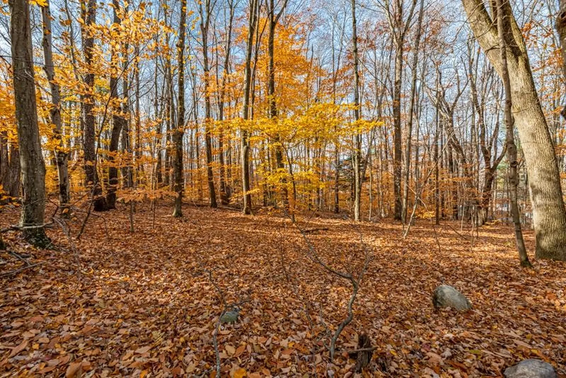 Oa East Manchester Road Manchester VT 05255