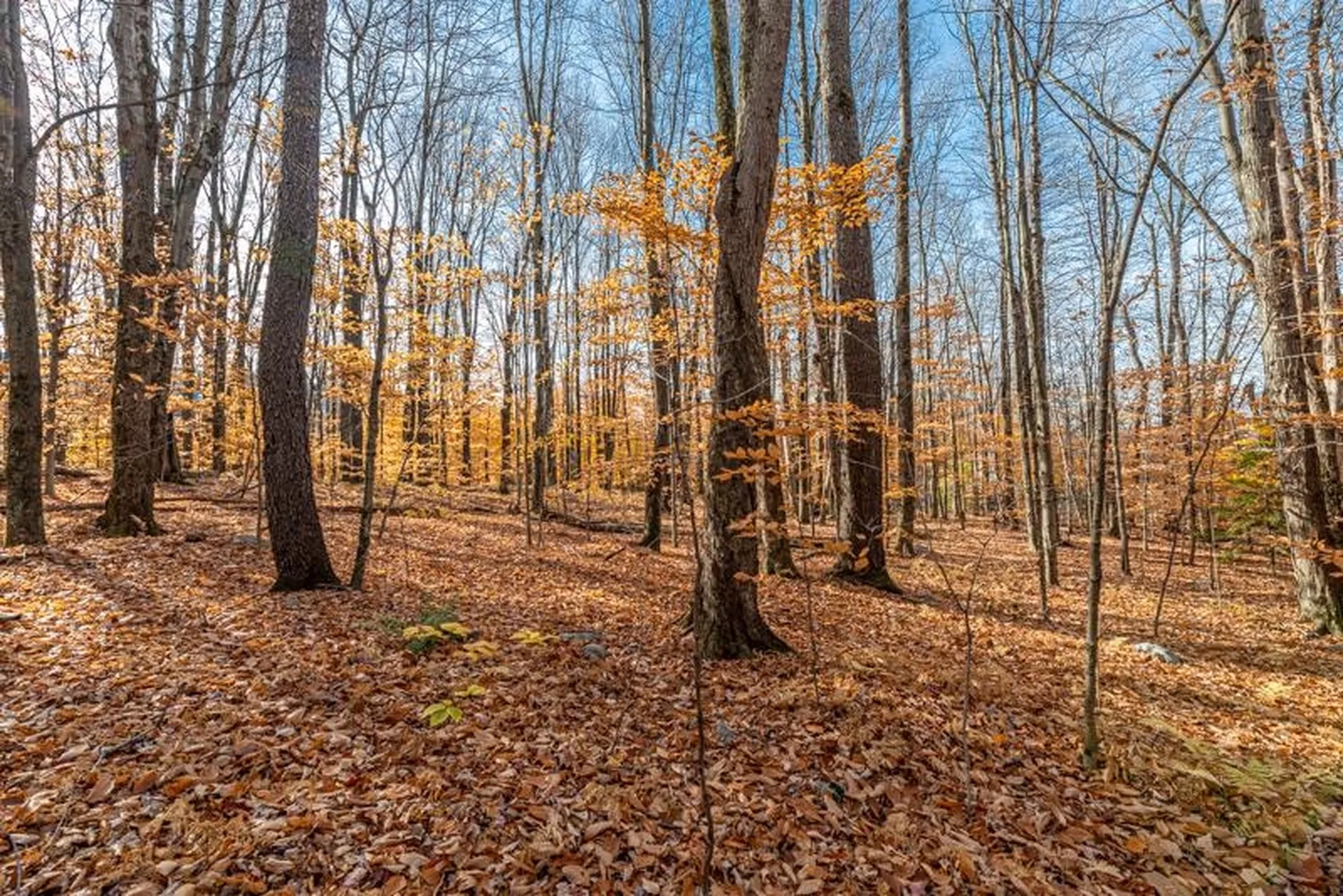 Oa East Manchester Road Manchester VT 05255