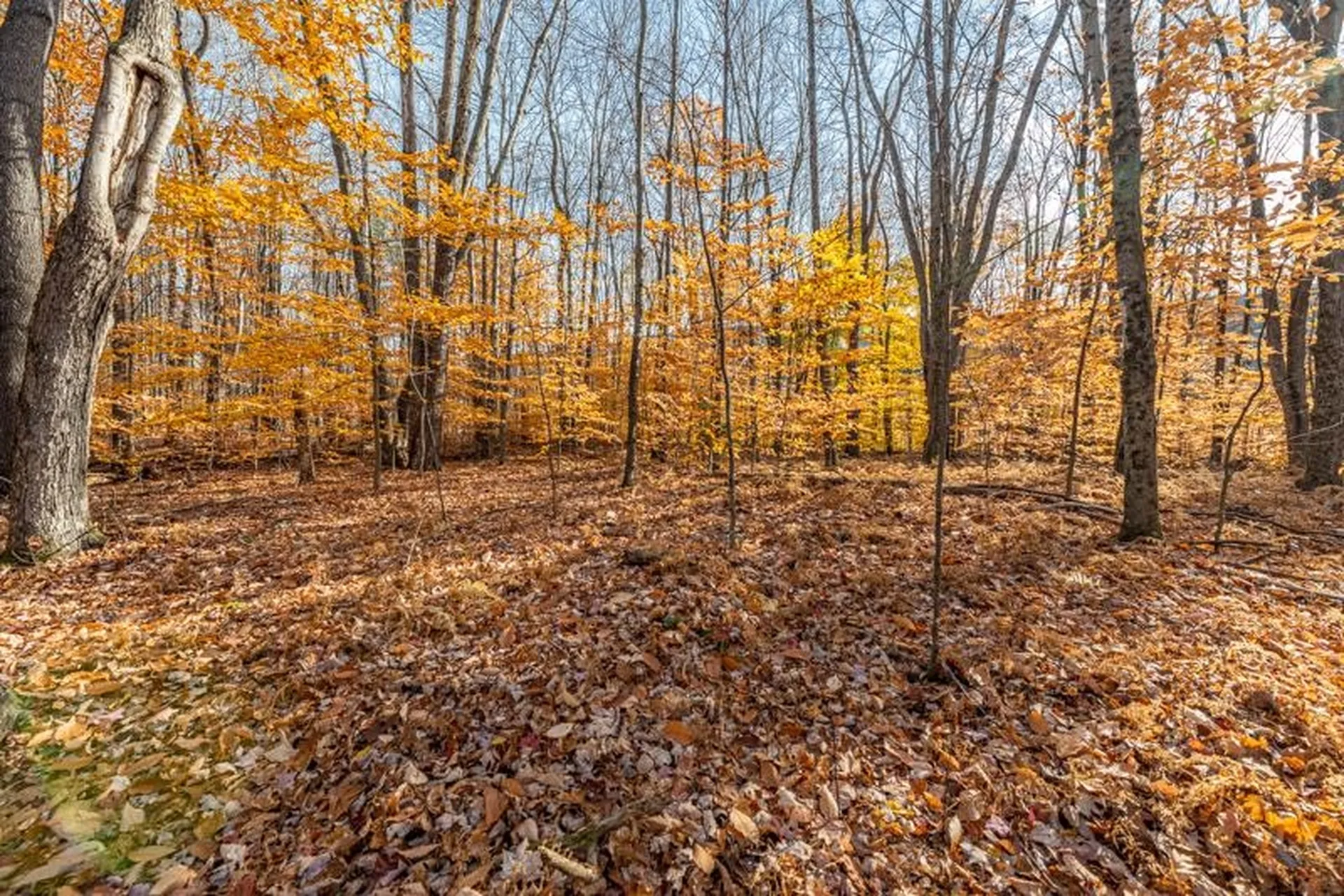 Oa East Manchester Road Manchester VT 05255