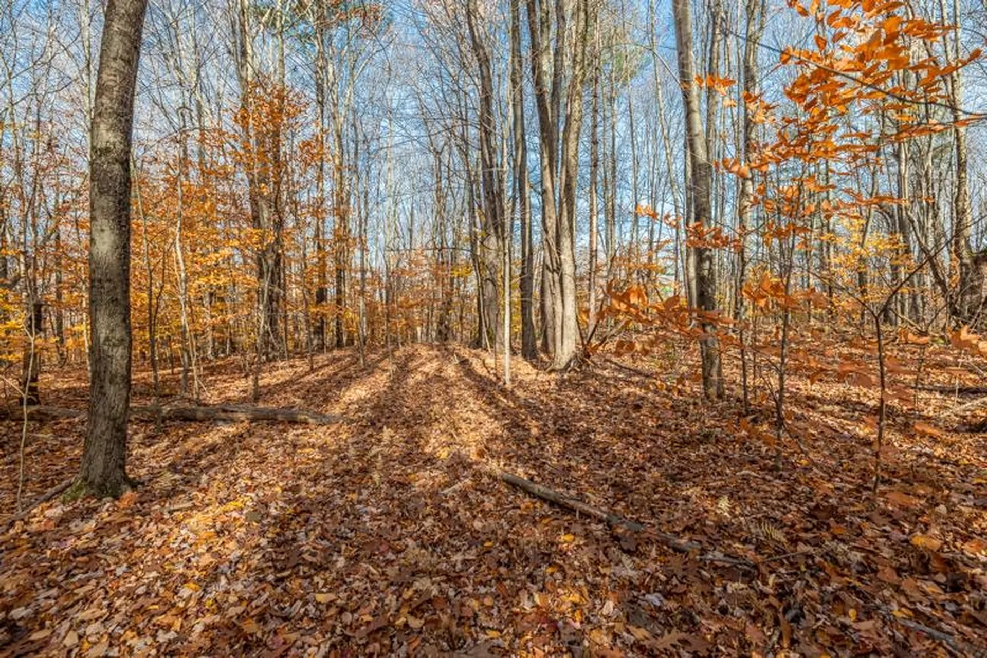 Oa East Manchester Road Manchester VT 05255