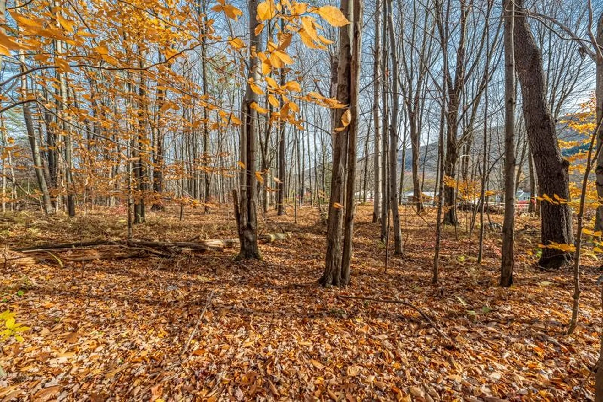 Oa East Manchester Road Manchester VT 05255