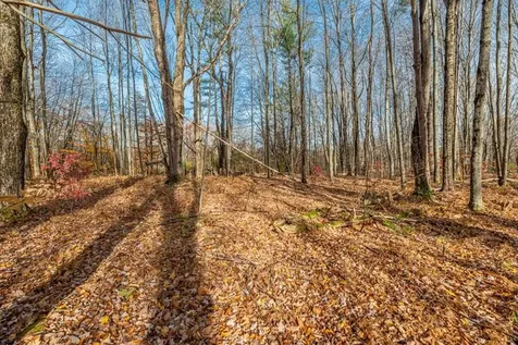 Oa East Manchester Road Manchester VT 05255