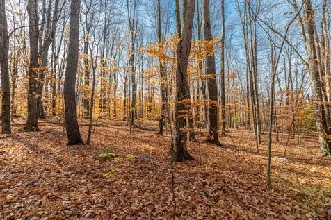 Oa East Manchester Road Manchester VT 05255