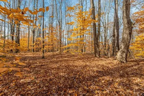 Oa East Manchester Road Manchester VT 05255