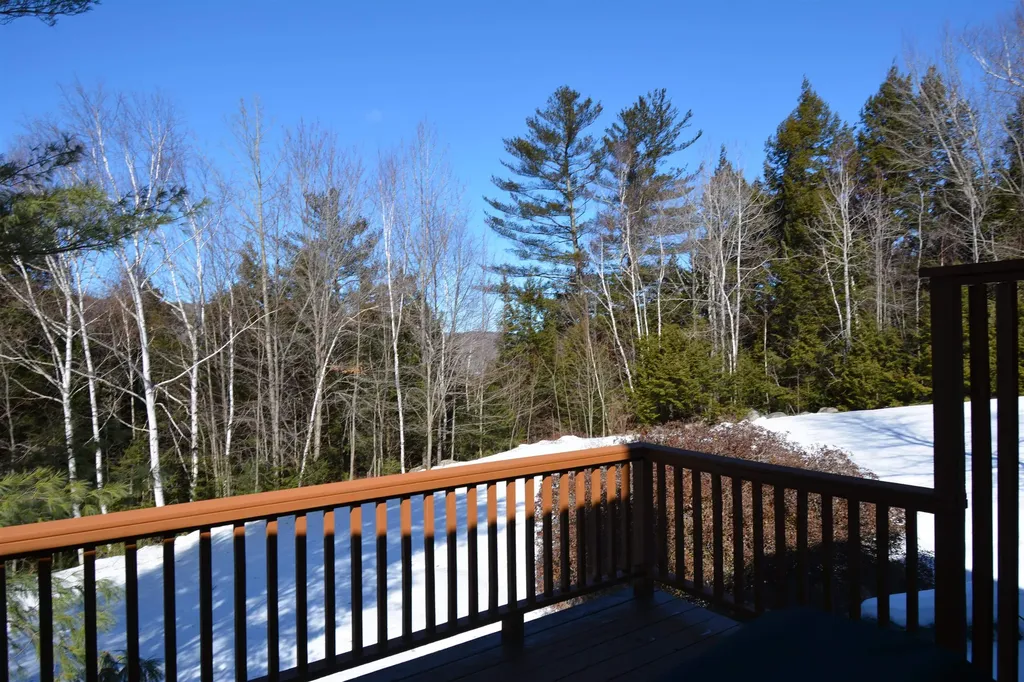 34 Barn Owl Overlook Grantham NH 03753
