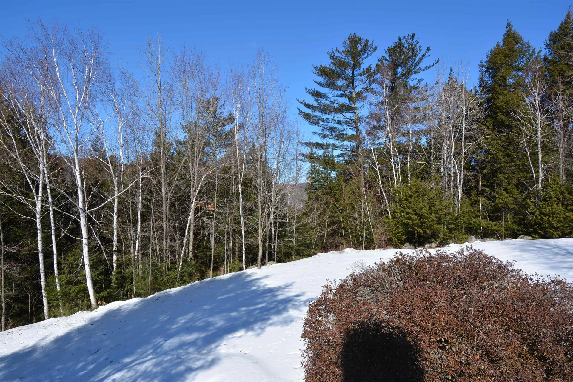 34 Barn Owl Overlook Grantham NH 03753