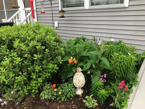 11 Monarch Way Kingston NH 03848