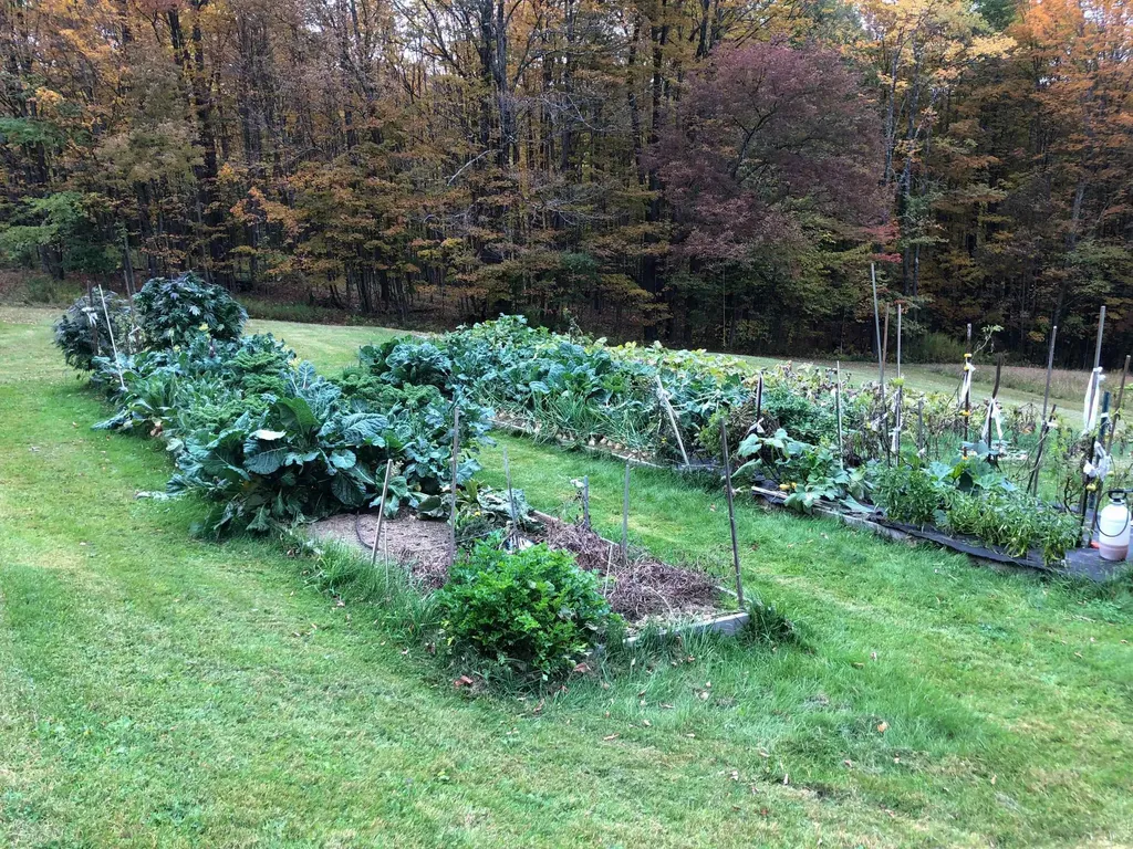 60 Robbins Road Dover VT 05341