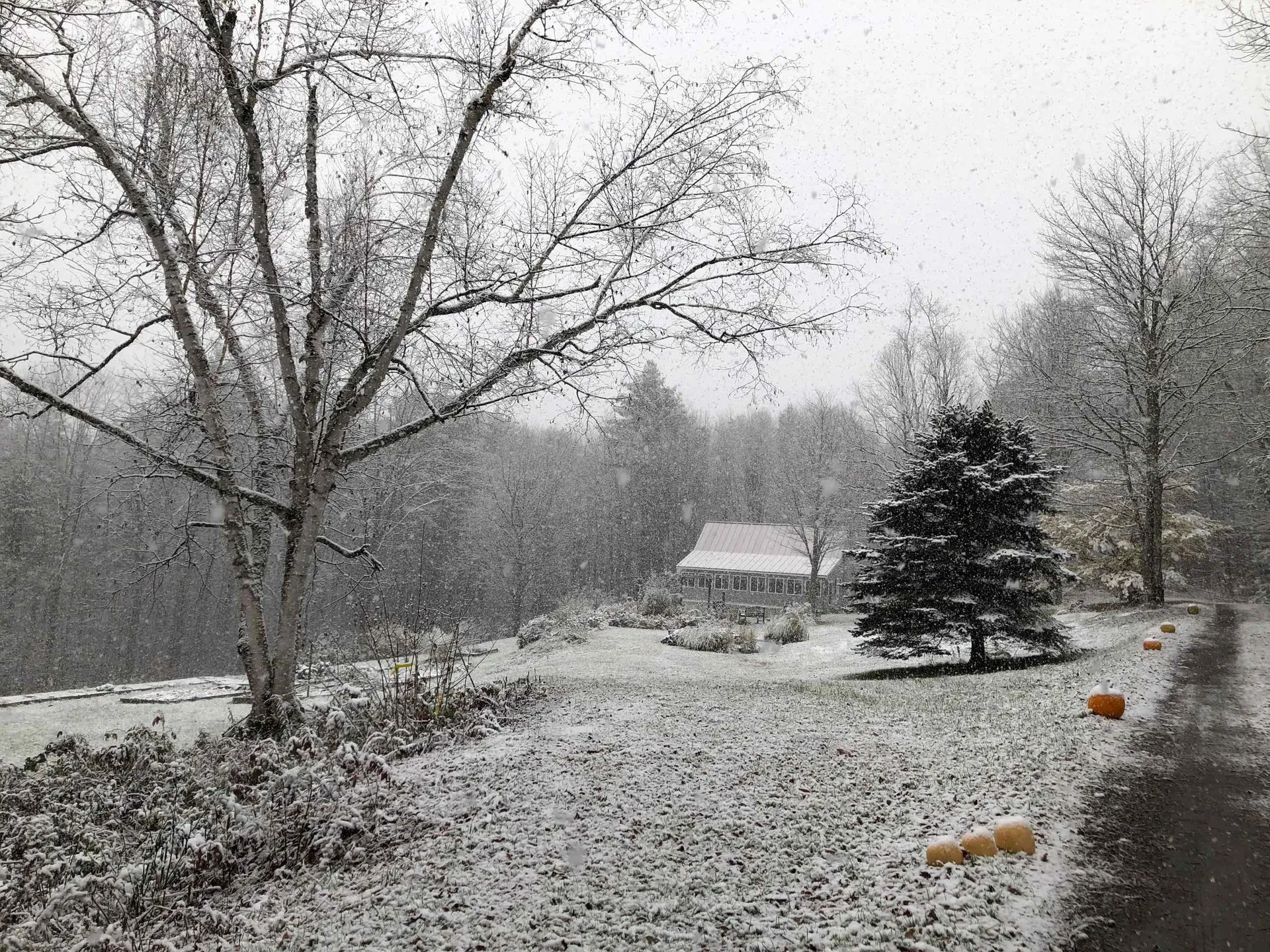 60 Robbins Road Dover VT 05341