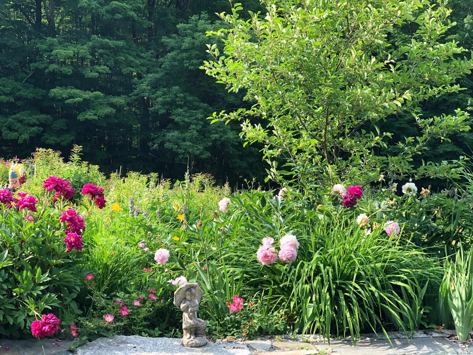 60 Robbins Road Dover VT 05341