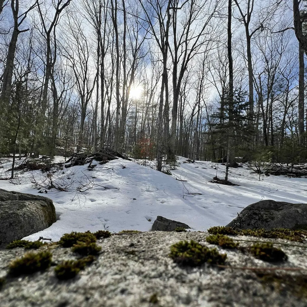 Lot 72-22-1 Mooers Road Nottingham NH 03290