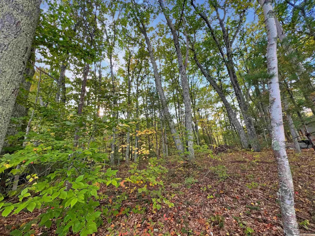 Lot 72-22-1 Mooers Road Nottingham NH 03290