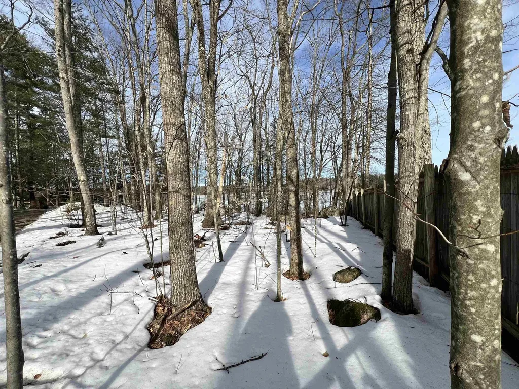 Lot 72-22-1 Mooers Road Nottingham NH 03290