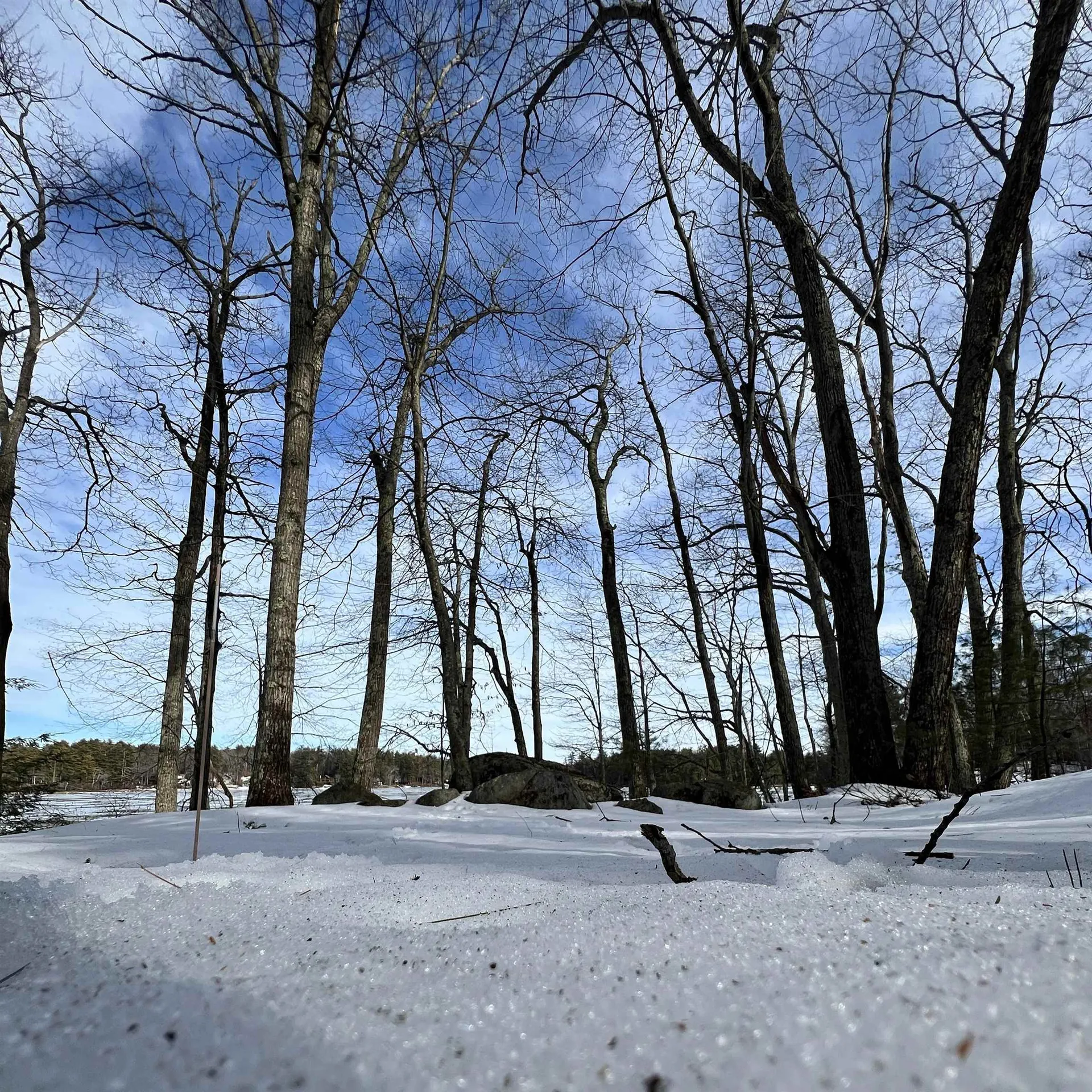 Lot 72-22-1 Mooers Road Nottingham NH 03290