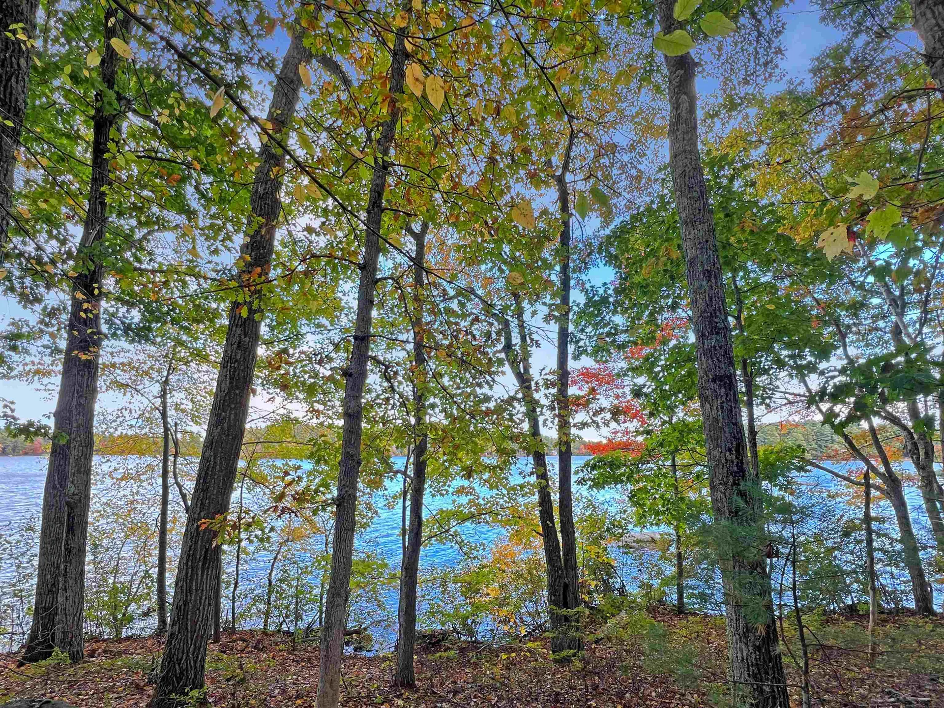 Lot 72-22-1 Mooers Road Nottingham NH 03290