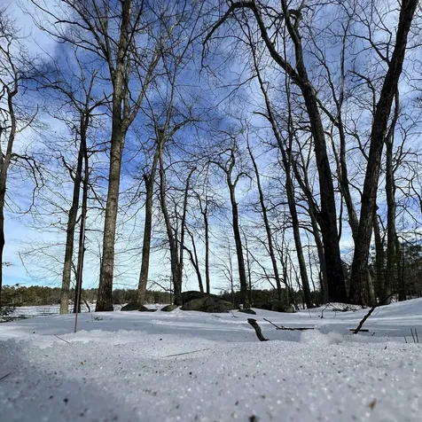 Lot 72-22-1 Mooers Road Nottingham NH 03290