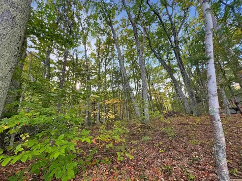 Lot 72-22-1 Mooers Road Nottingham NH 03290