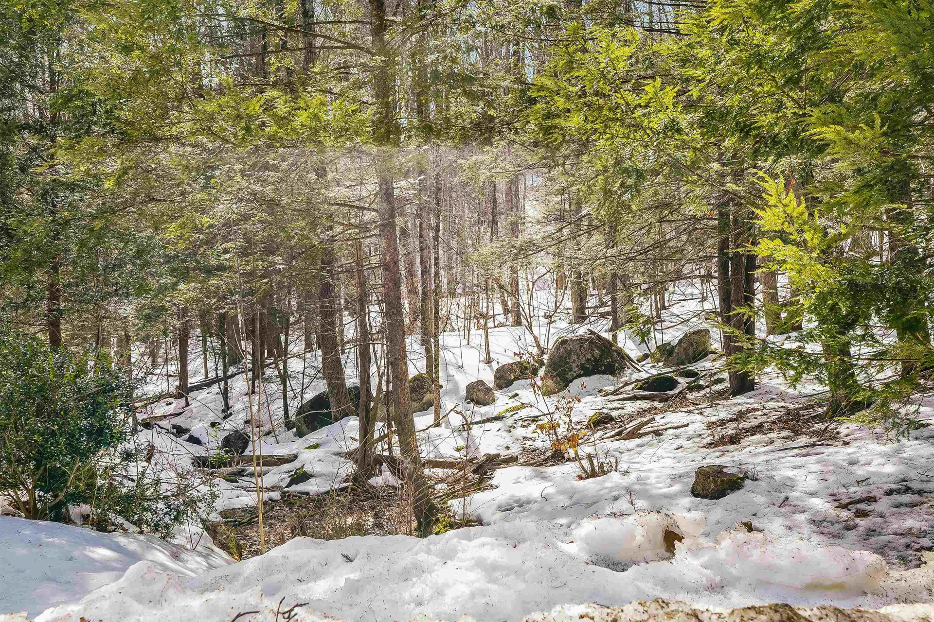 10 Nathaniel Drive Amherst NH 03031