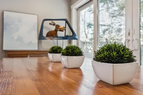 19 Linden Hill Street Woodstock VT 05091