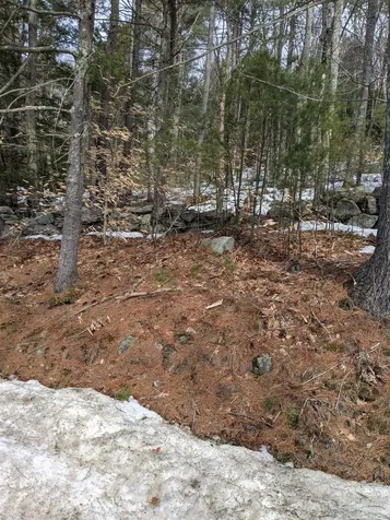 0 Old County Road Deering NH 03244