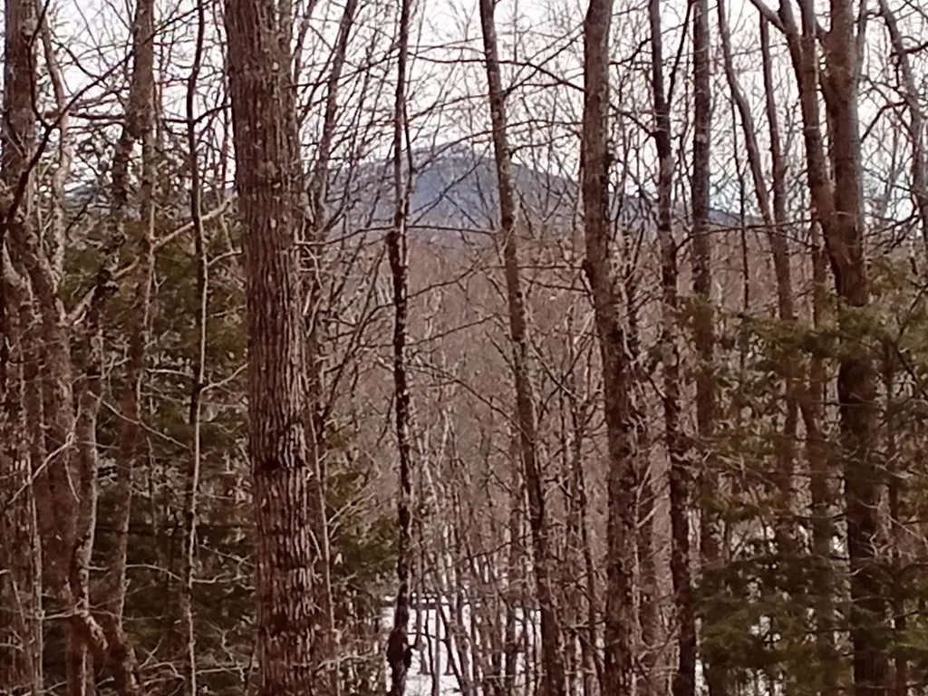 40 Clapp Pond Road Marlborough NH 03455