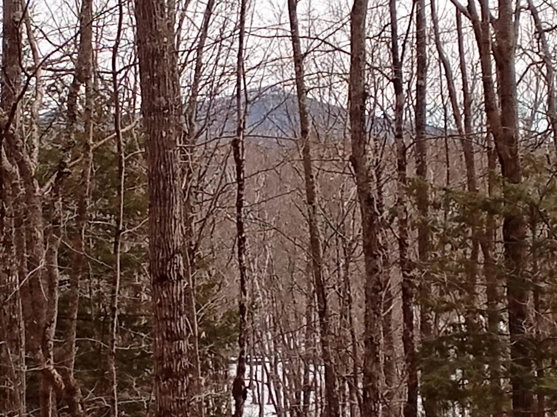 40 Clapp Pond Road Marlborough NH 03455