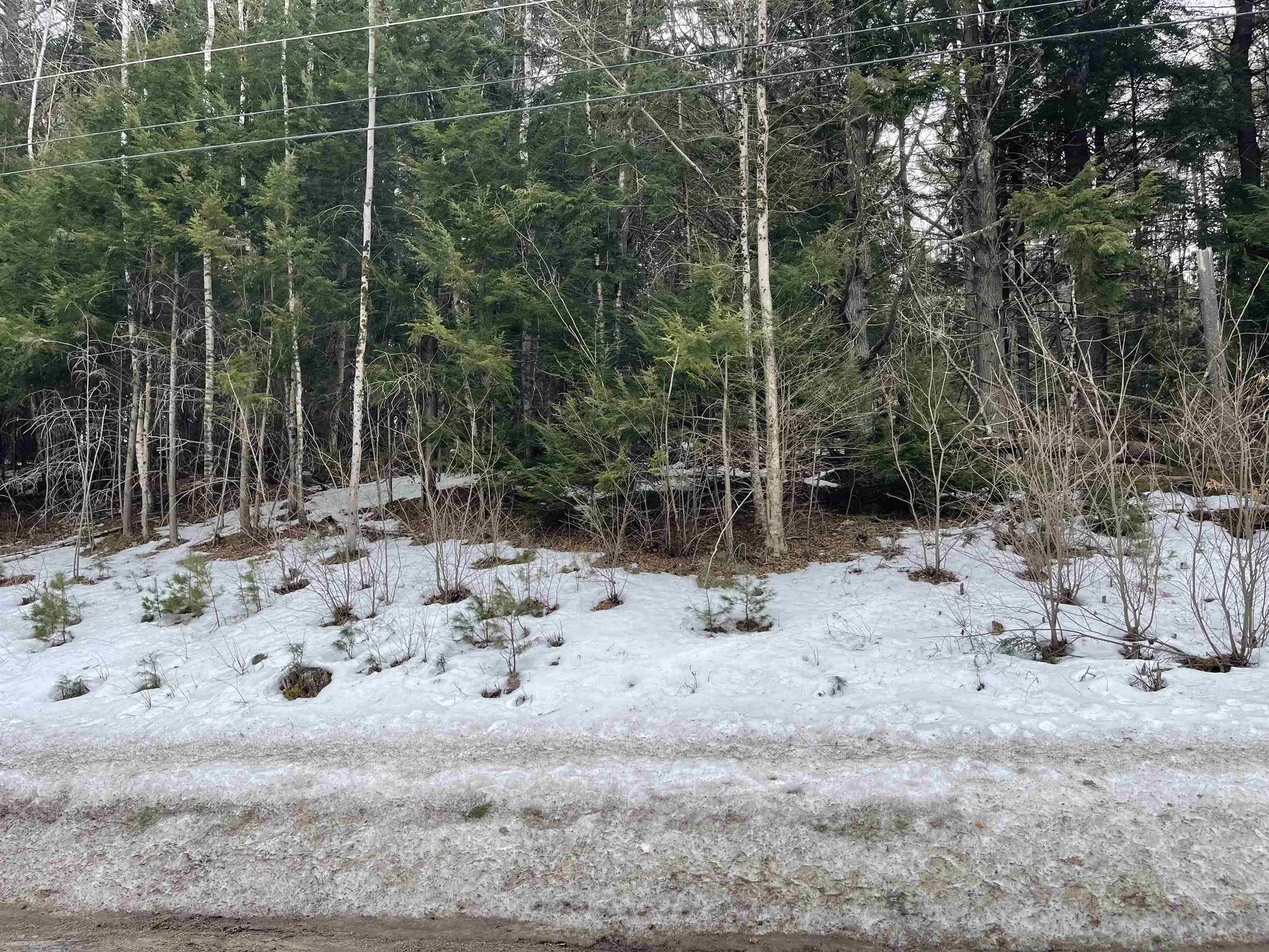 Lot 53 Apple Hill Road Sullivan NH 03445