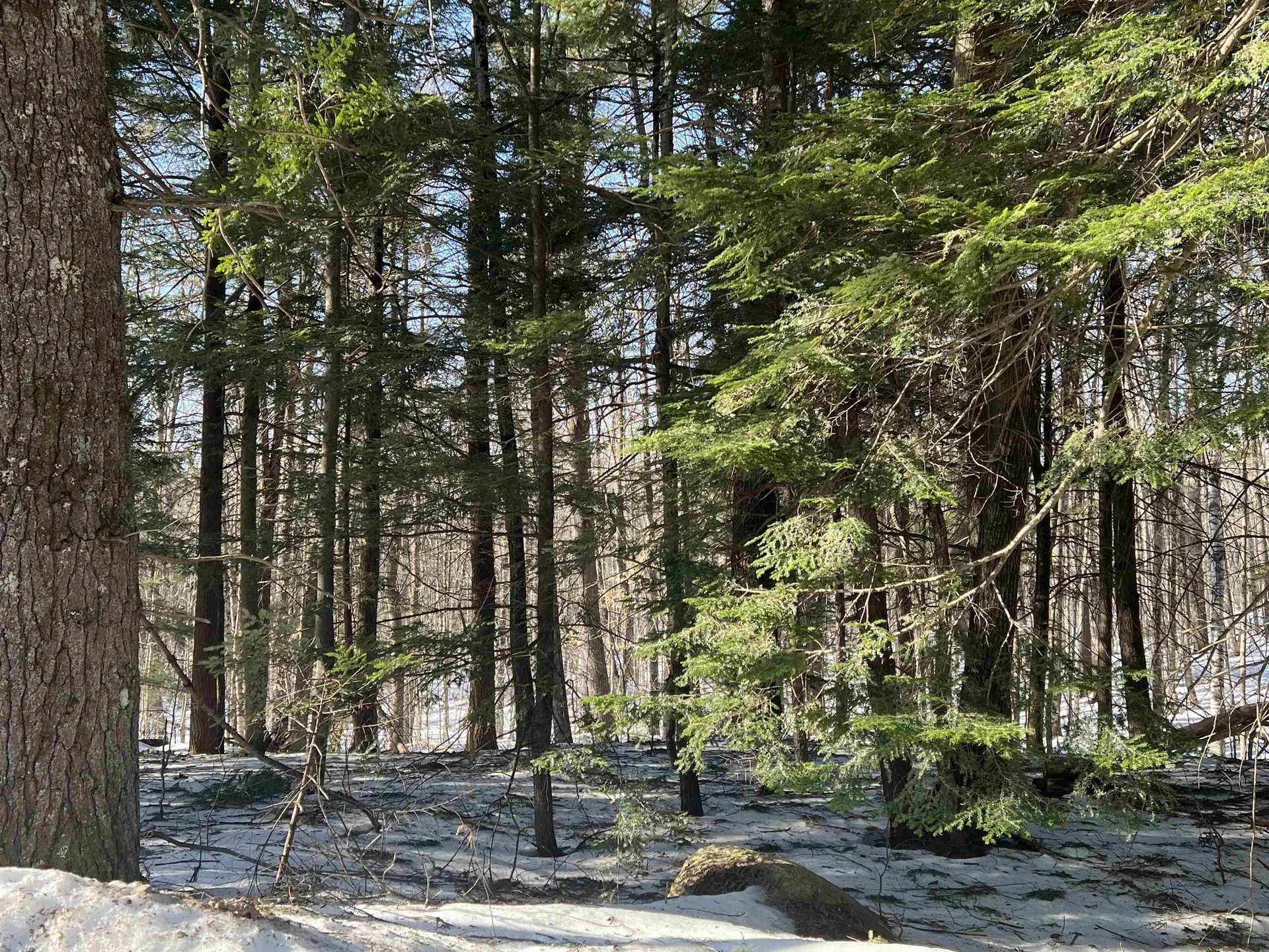 Tuftonboro NH, Neal Hill Road