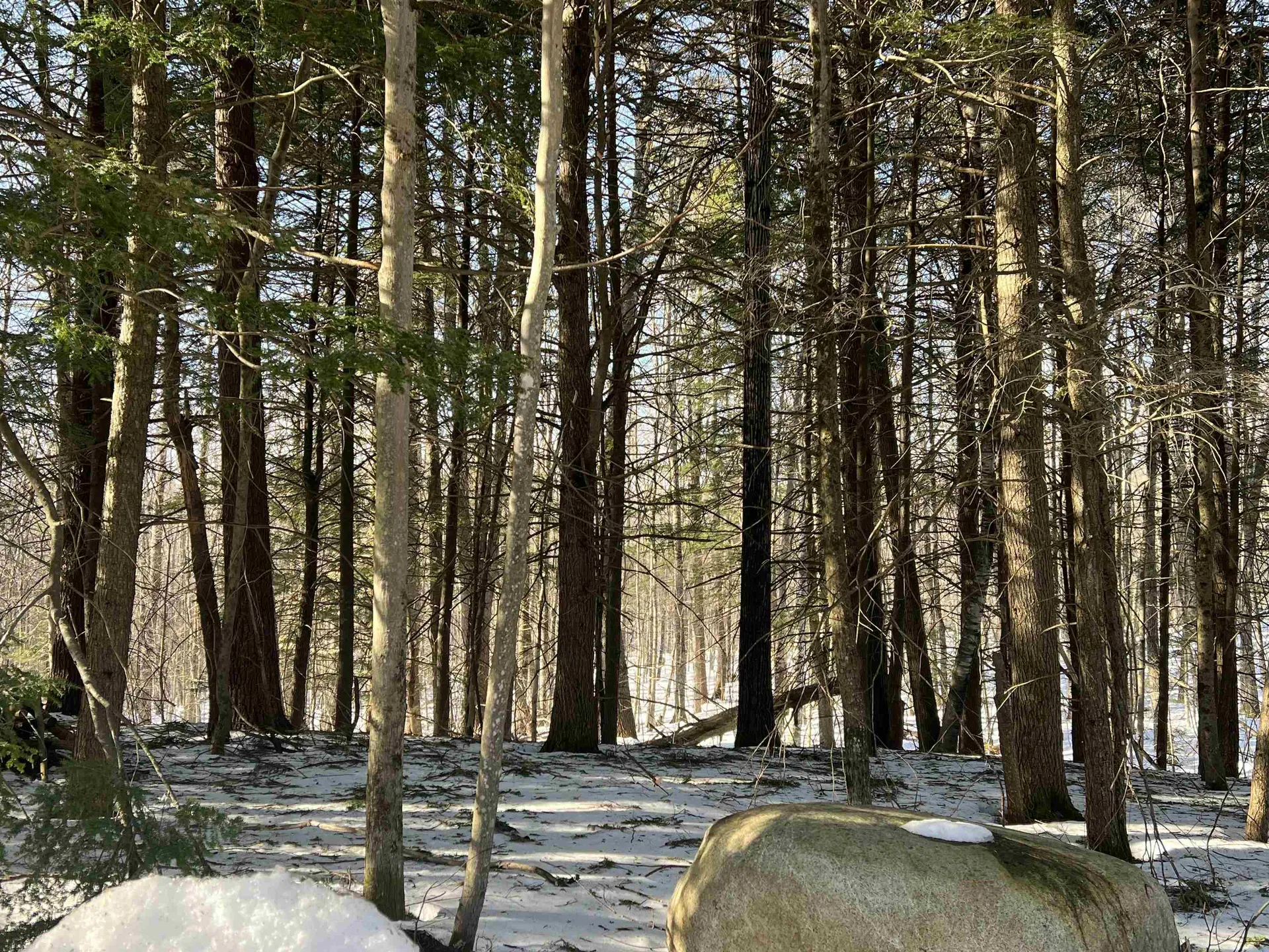 Neal Hill Road Tuftonboro NH 03816