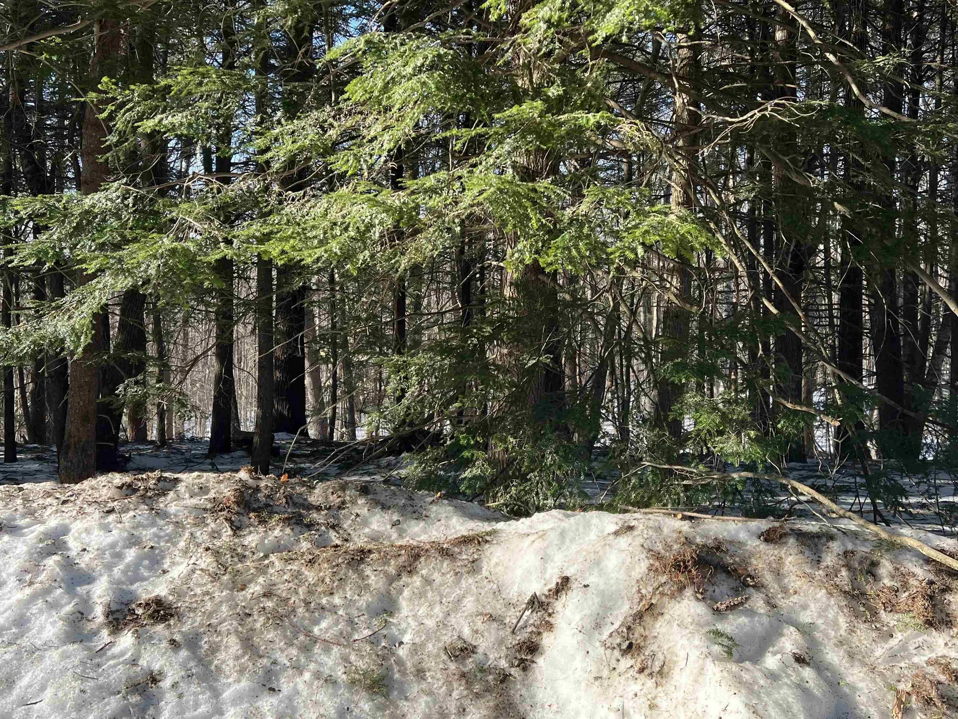 Neal Hill Road Tuftonboro NH 03816