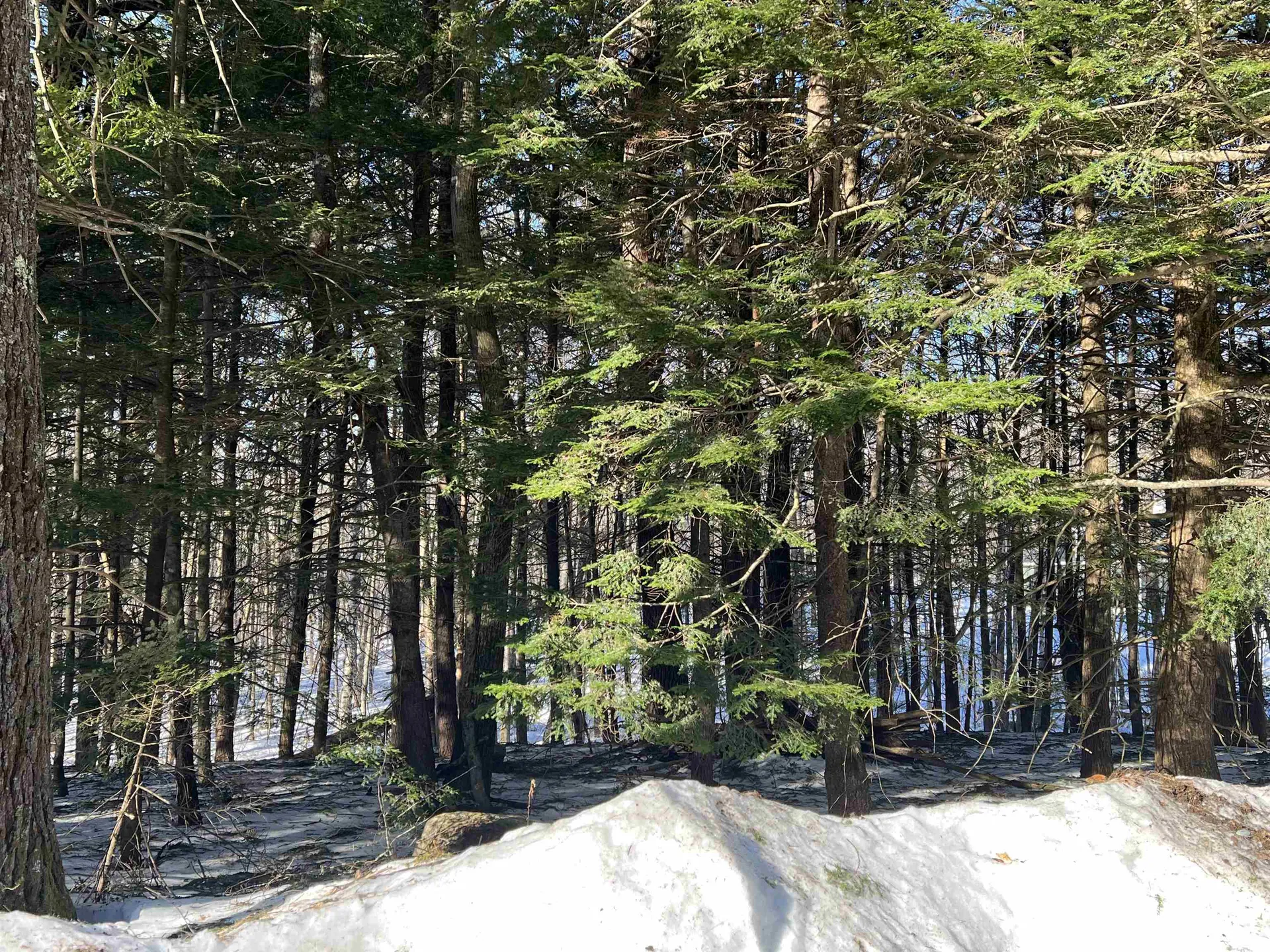 Neal Hill Road Tuftonboro NH 03816