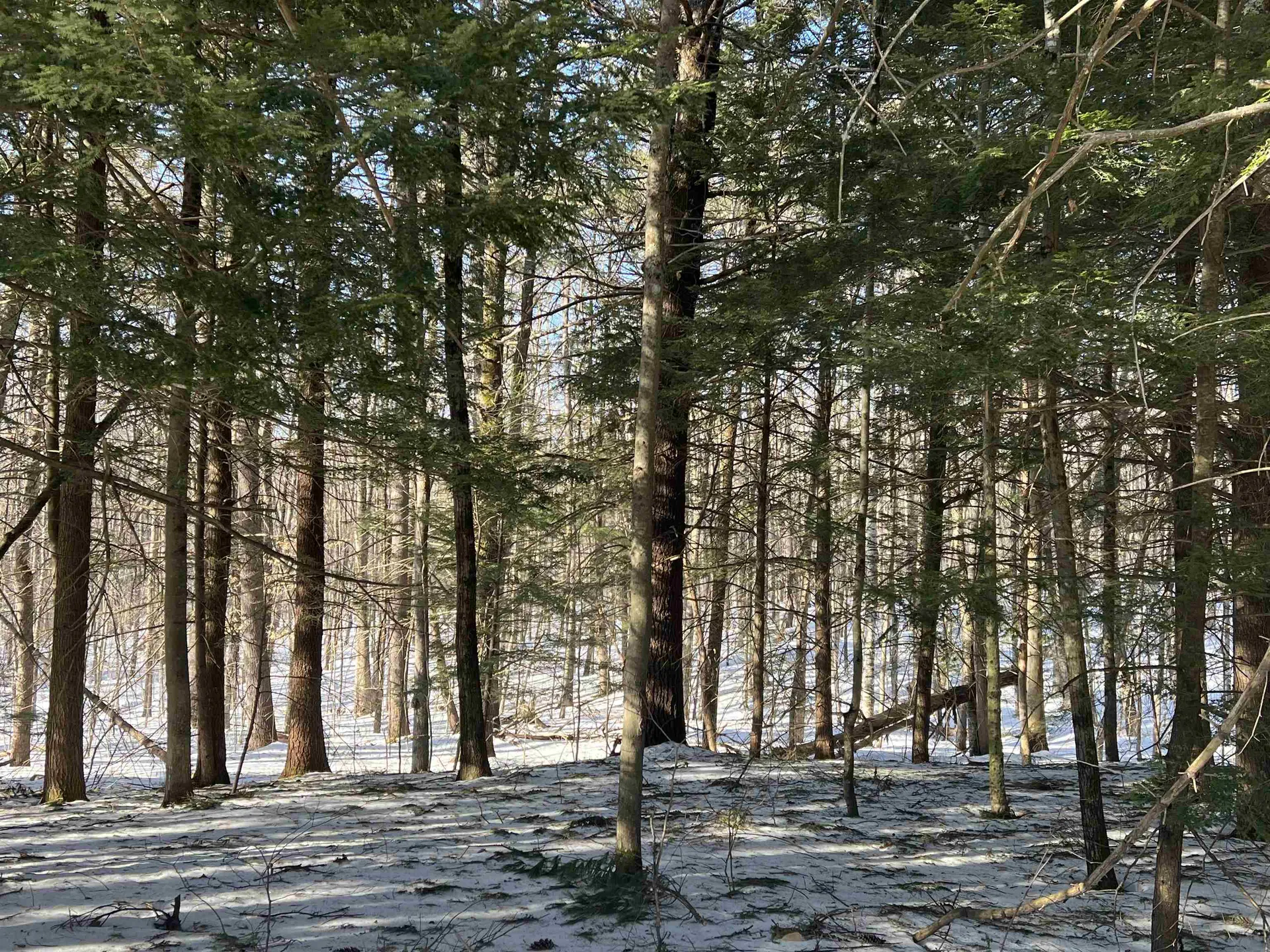 Neal Hill Road Tuftonboro NH 03816