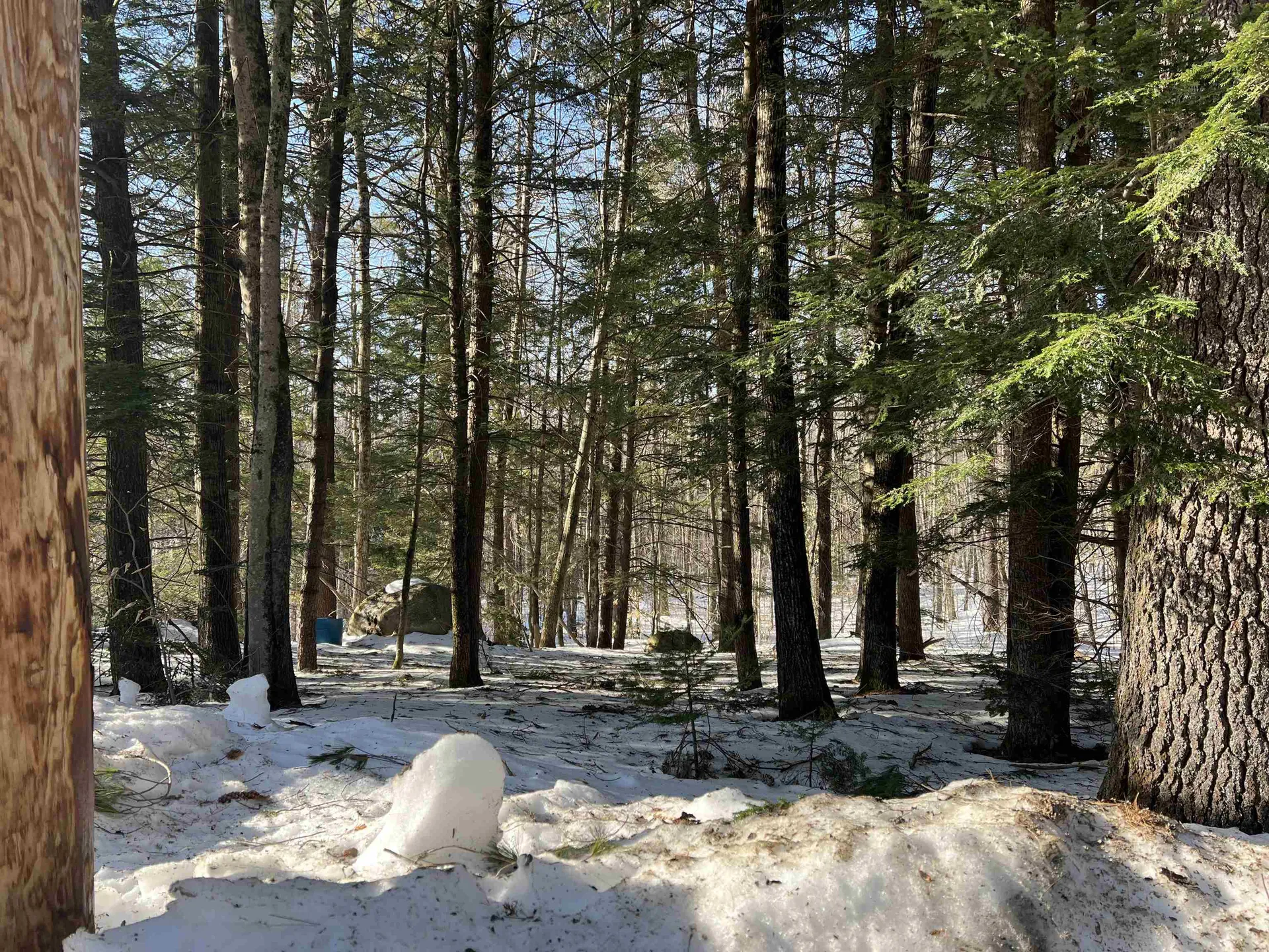 Neal Hill Road Tuftonboro NH 03816