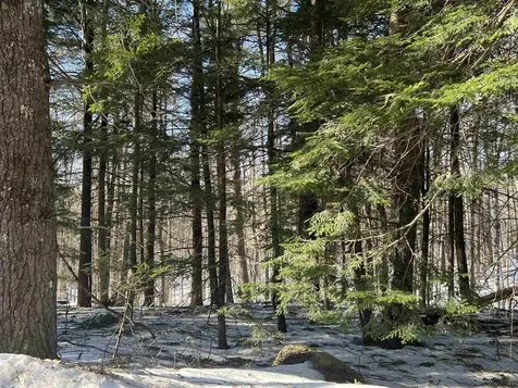 Neal Hill Road Tuftonboro NH 03816