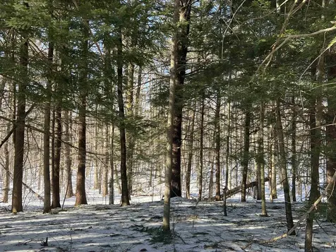 Neal Hill Road Tuftonboro NH 03816