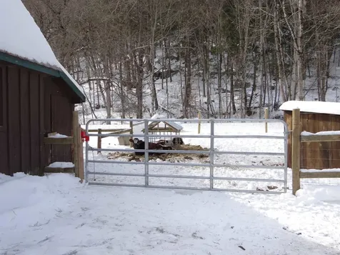 31 Palmer Road Chester VT 05143