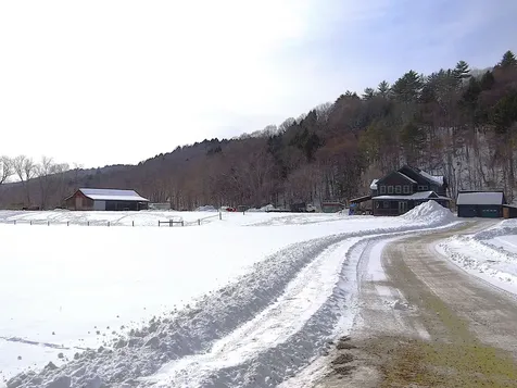 31 Palmer Road Chester VT 05143
