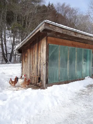 31 Palmer Road Chester VT 05143
