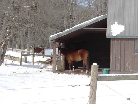 31 Palmer Road Chester VT 05143