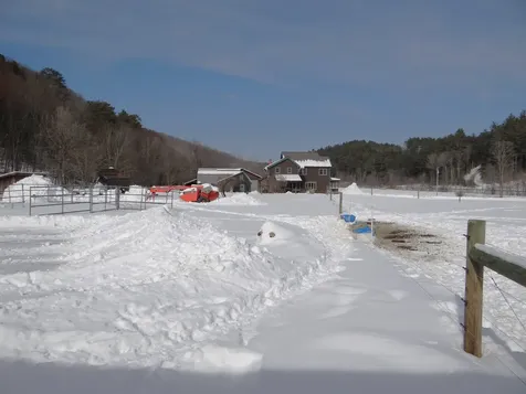 31 Palmer Road Chester VT 05143