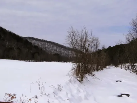 31 Palmer Road Chester VT 05143
