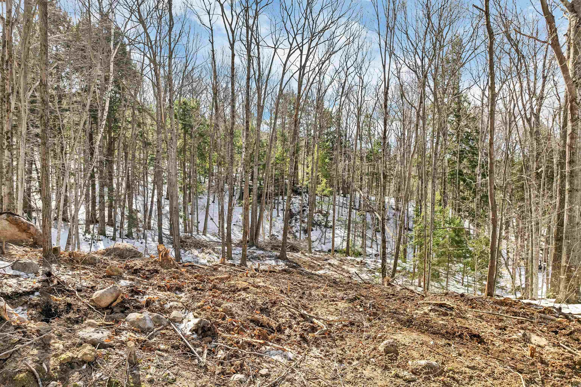 0 Franconia Drive New Durham NH 03855