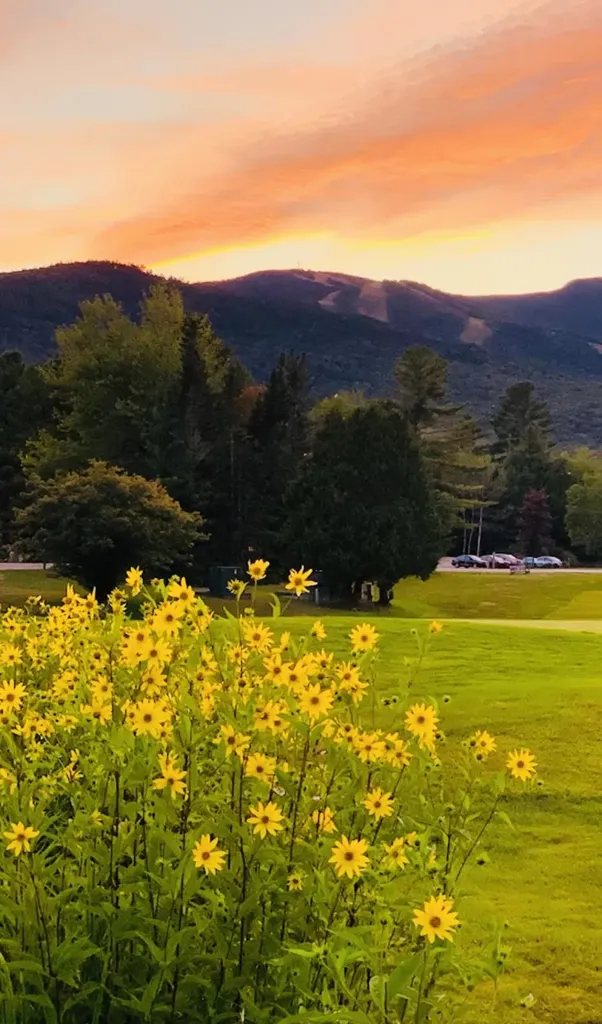 38 Windsor Hill Way Waterville Valley NH 03215