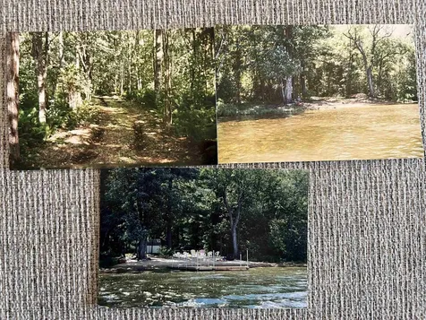 14 Coons Point Road Belmont NH 03220