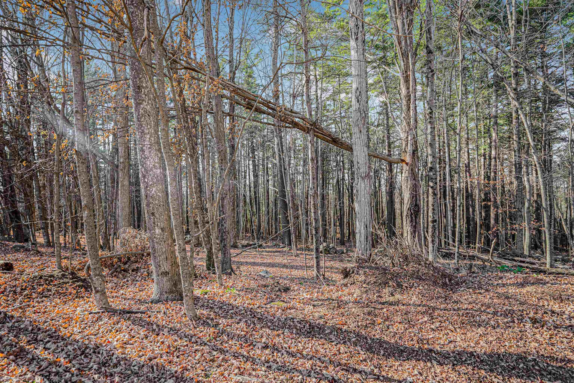 321 Old Turnpike Road Salisbury NH 03268