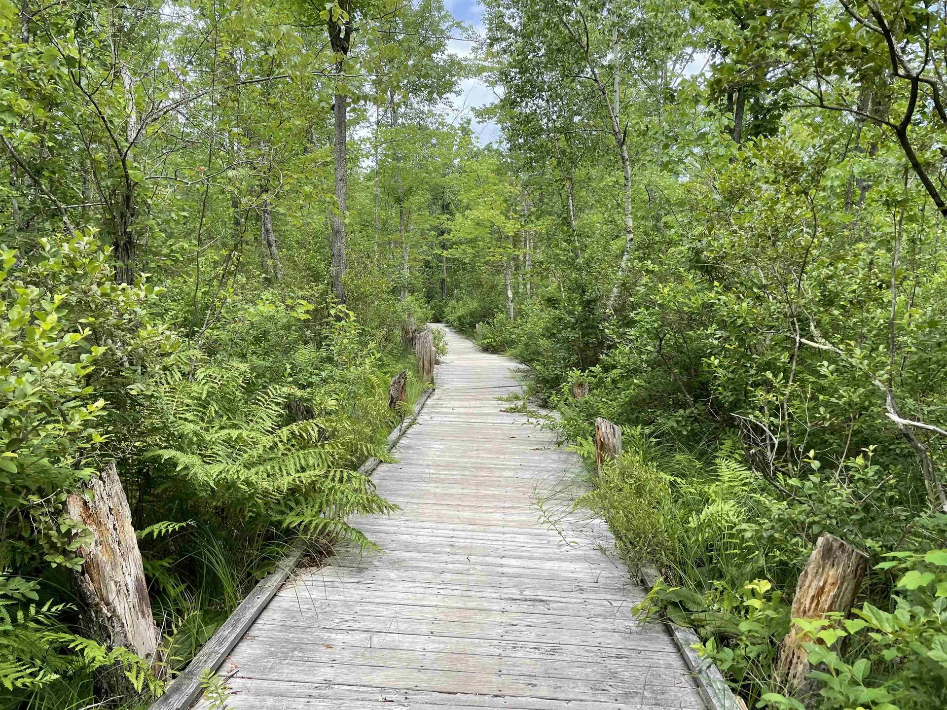 39 Huckins Street Ossipee NH 03814