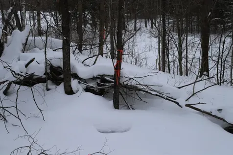 114 Derby Gore Road Morgan VT 05853
