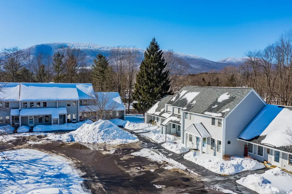 7564 Bourn Brook Road Manchester VT 05255