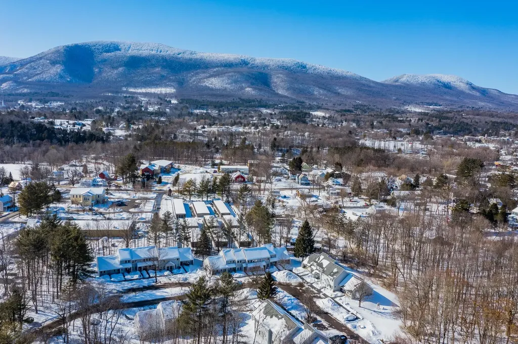 7564 Bourn Brook Road Manchester VT 05255