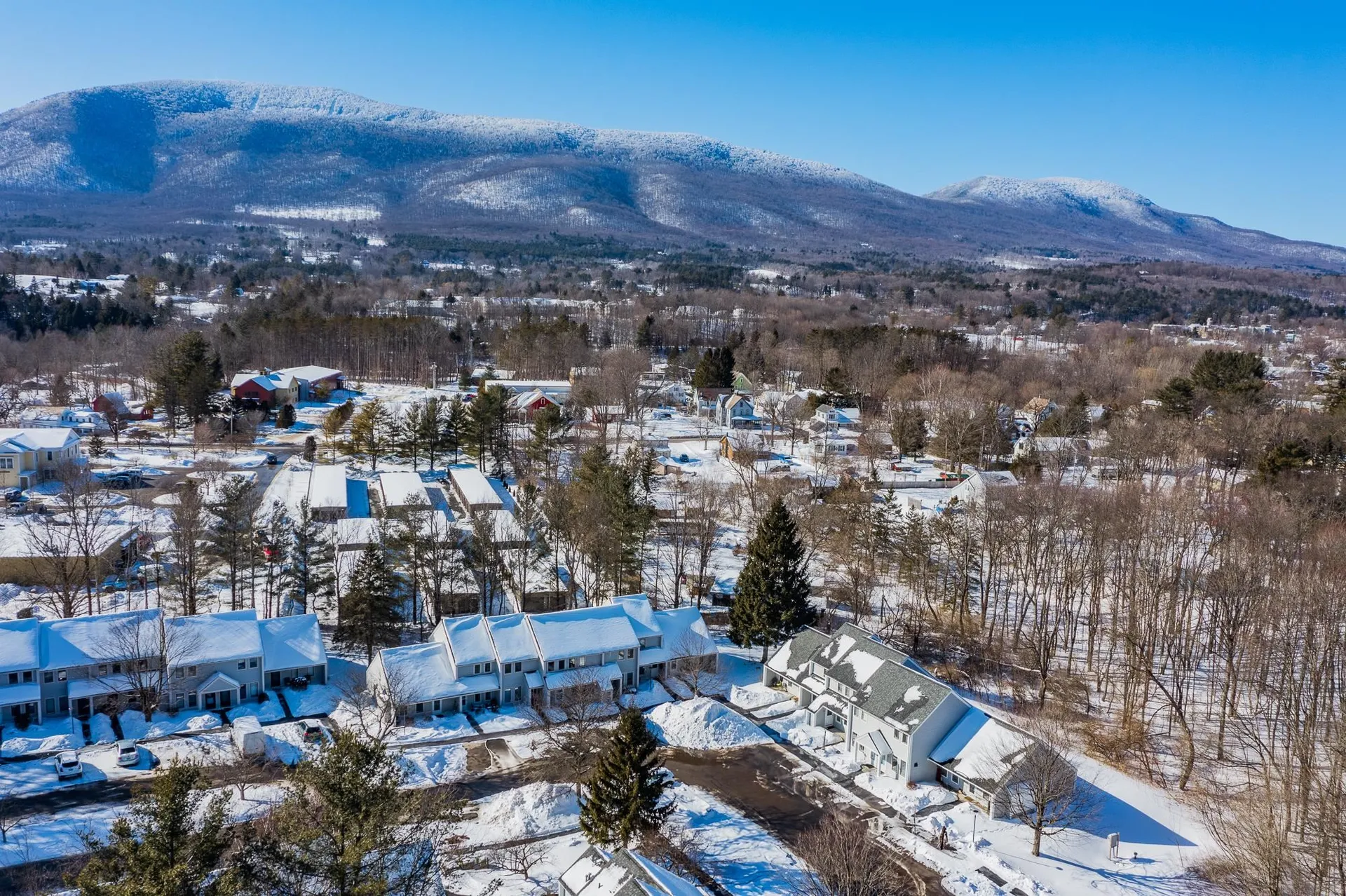 7564 Bourn Brook Road Manchester VT 05255